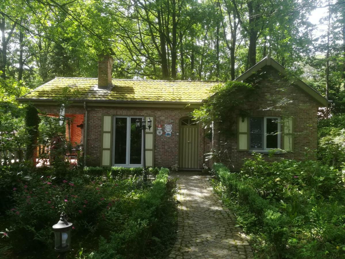 Rainbow Lodge Ursel Esterno foto